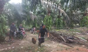 IMG-20250218-WA0000